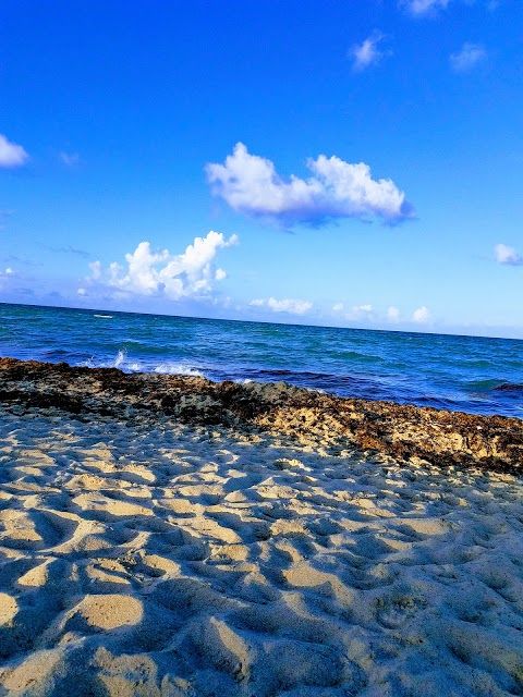 North Shore Open Space Park